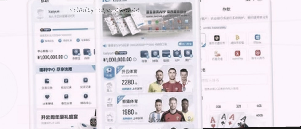 隐私政策与数据权益说明